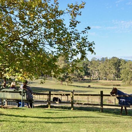 The Stables Hotel Wandin North Exterior foto