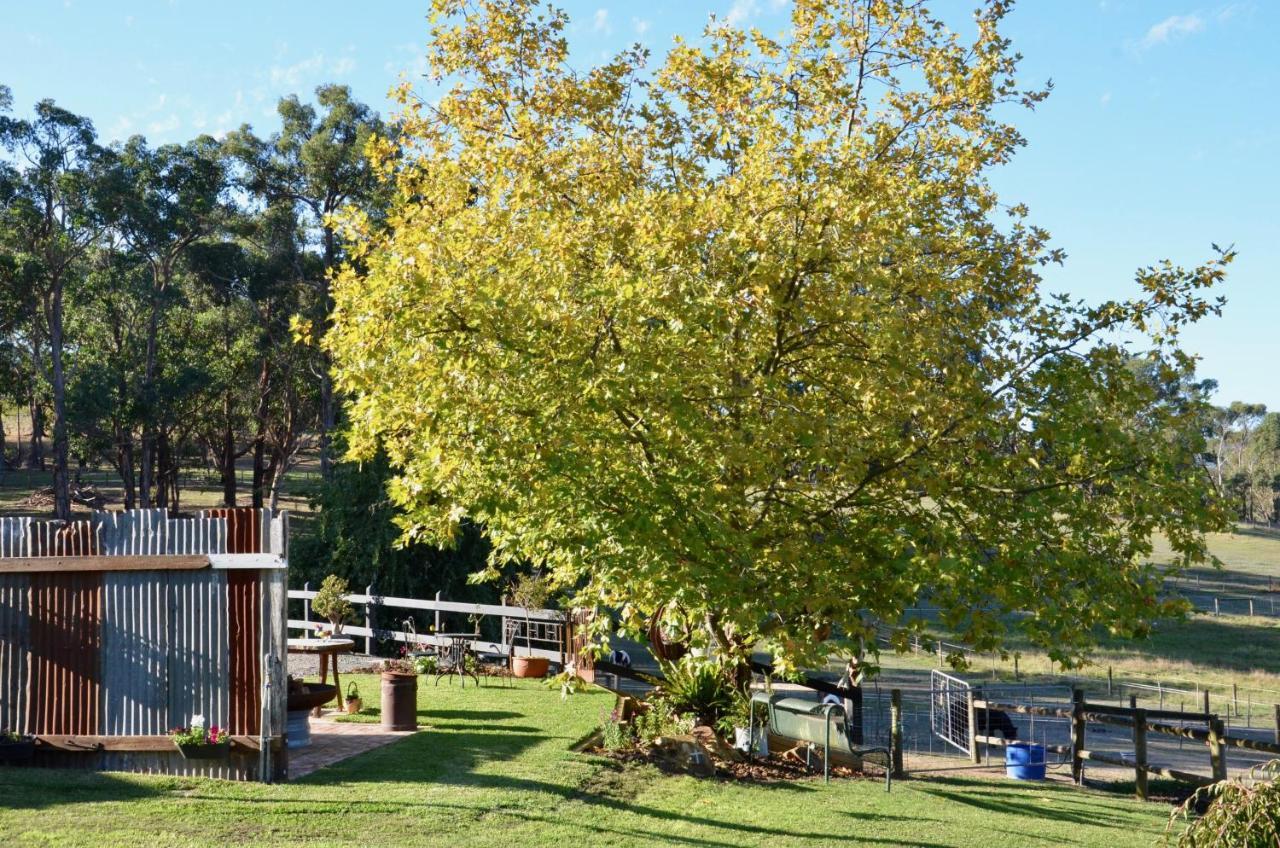 The Stables Hotel Wandin North Exterior foto