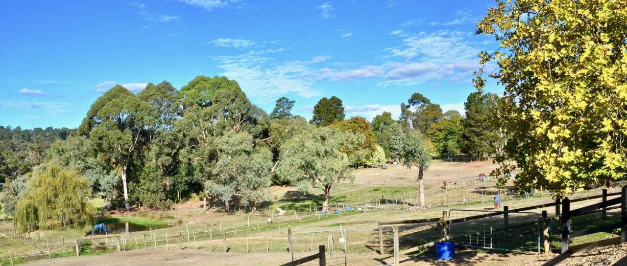 The Stables Hotel Wandin North Exterior foto